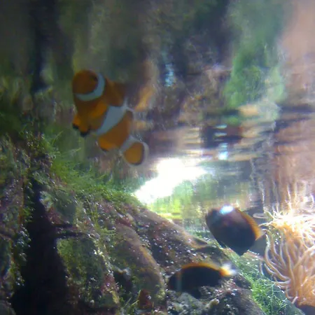 Villa Hippocampe Les Mathes