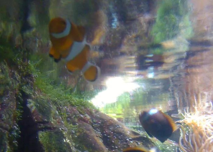 Villa Hippocampe Les Mathes